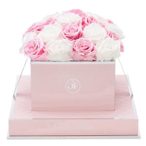 Ros Square Glow Pink and Glow White Low Pice