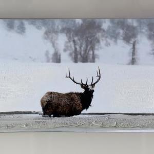 Snowboard - Elk - Light Blue Cheap Sale Cheapest