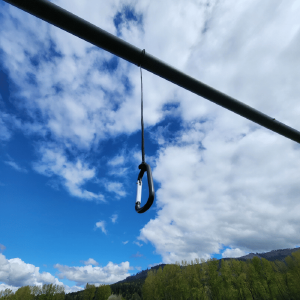 Cage Hangers and Carabiner Clips Buy Cheap Footlocker Pictures