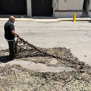 Us Camo Net, grade c Shop For Online