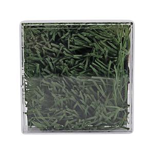 Ohio State University Game Used 2 3/4" Square of Green/White Ohio Stadium Main Field Turf (2014-2021) - in Acrylic Display Cube Supply Online
