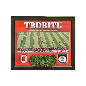 Ohio State New TBDBITL Framed 19"x22" Collage With Piece of Authentic Ohio Stadium Turf Sale Exclusive
