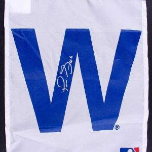PEDRO STROP SIGNED 10x14 CHICAGO CUBS W FLAG SIGN 2016 WORLD SERIES CHAMPION WIN Ost Release Dates