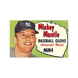 Mickey Mantle New York Yankees "Baseball Glove" MM4 Display Panel Clearance Cheapest Pice