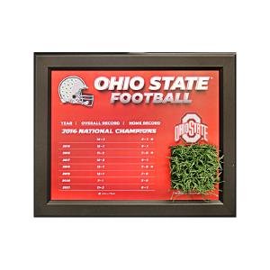 Ohio State Football 2014-2021 Record Framed 14"x17" Collage With Piece of Authentic Ohio Stadium Turf Outlet Supply