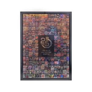 UFC 25th Anniversary 27"x39" Framed Poster Discount Supply