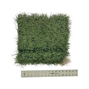Ohio State 1' x 1' Piece of Authentic Ohio Stadium Green On Field Turf Cheap Exclusive