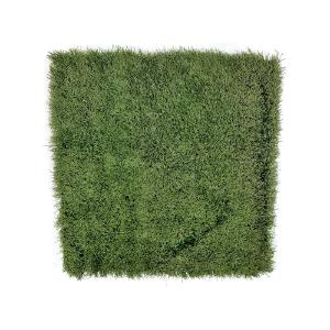 Ohio State 3' x 3' Piece of Authentic Ohio Stadium Green On Field Turf With Credit Card Cheap Online