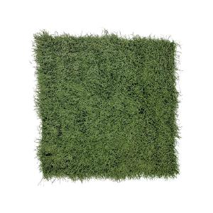Ohio State 2' x 2' Piece of Authentic Ohio Stadium Green On Field Turf With Credit Card Cheap Online