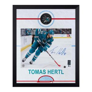 Tomas Hertl Signed San Jose Sharks Rink Graphic 19x23 Frame Buy Cheap Websites
