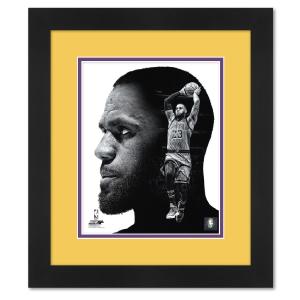 LeBron James Los Angeles Lakers B&W Photo Professionally Framed 13 x16 High Quality Black Frame with Team Colors Matting Looking For Cheap Pice
