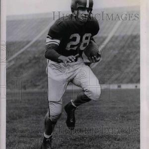 1949 Press Photo Michigan State U football player, Bob Ciodek - nea08282 Free Shipping The Cheapest