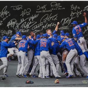 2016 Chicago Cubs Team Signed 2016 WS Spotlight 16x20 Photo (24 Sigs) - (SS COA) Very Cheap