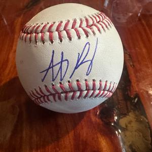 Anthony Rizzo signed baseball How Much Cheap Online