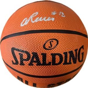Antonio Reeves Signed Basketball PSA/DNA Autographed Kentucky / Pelicans Discount Sast