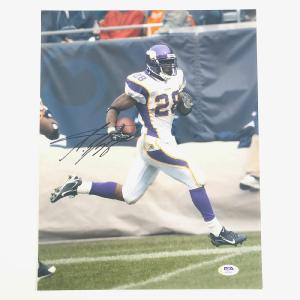 Adrian Peterson signed 11x14 photo PSA/DNA Minnesota Vikings Autographed Tumblr Online