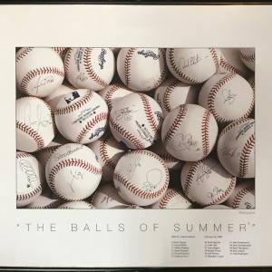 2006 Cardinals World Series Champs Signed Photo framed 17 Auto Isringhausen COA Buy Cheap Browse