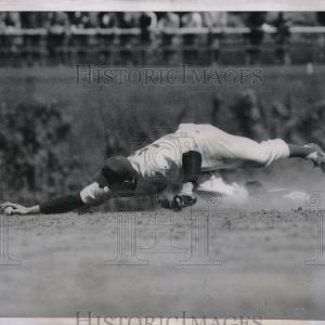 1950 Press Photo Chicago Cubs Shortstop Roy Smalley Free Shipping Exclusive