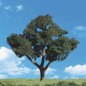 Woodland Scenics 3505 Woodland Classic Trees(R) Ready Made - Cool Shade -- 2 to 3"  5.1 to 7.6cm Tall pkg(4) A Scale Great Deals Cheap Pice