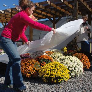 Row Cover Deluxe Bulk Roll Online