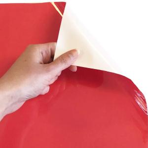 12" X 12" Precut Sheets, Siser EasyWeed Heat Transfer Vinyl Iron On HTV  (Hibiscus) Clearance Wide Range Of