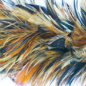 Abstract Royal Feathers Mural Wallpaper M9305 Clearance Wiki