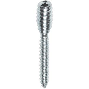 Afstandschroef 6x60 40st verzinkt Discount Sast