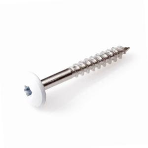 Volkernschroef 4.8x38 RVS ral 9001 100st Buy Cheap For Cheap