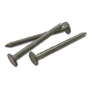 Ifasten Nail Clout 25 Mmx2.50 Mm 75 G Pp Clearance Genuine
