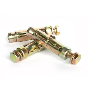 Ifasten Shield Anchor Bolt M6 X55 Mm 10 Pt How Much Online