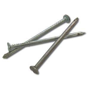 Ifasten Nail Clout Semi 25 Mmx2 Mm 75 G Pp Amazon Footaction