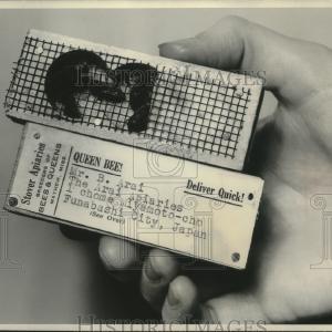 1954 Press Photo Bees packed in cage with sugar candy for shipment - mjb78749 Free Shipping Shop Offer