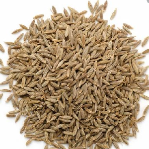 White Cumin Seed 250gm With Paypal Free Shipping