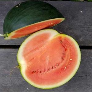 Vannmelon Sugar Baby, fr High Quality For Sale