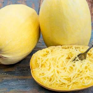 Gresskar spaghetti - kologiske fr Fast Delivery Sale Online