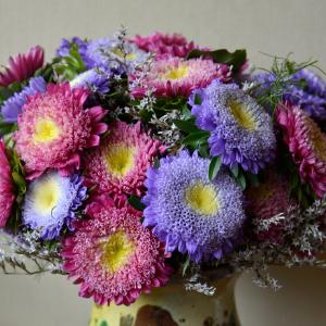 Asters, Princess, mix - fr Visit New Cheap Pice