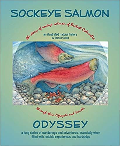 Sockeye Salmon Odyssey Best Deals