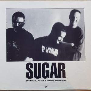 Sugar - Sugar 100% Authentic Sale Online