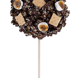 S'mores Popcorn Lollipop Buy Cheap Pice