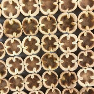 6pk Buttertarts Outlet Best Place
