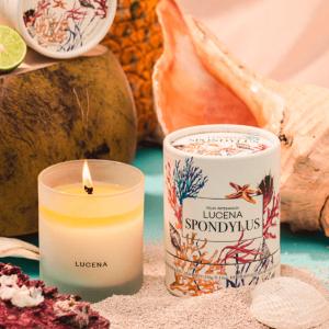 Vela Aromatica 280G Spondylus Choice For Sale
