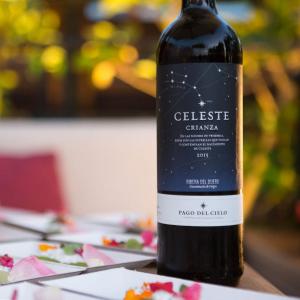 Vino Celeste Crianza Familia Torres Big Discount Online