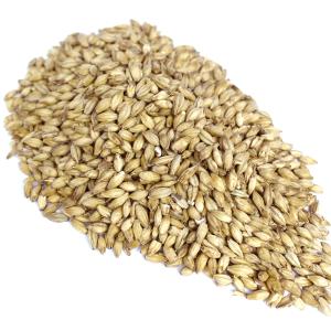 Acidulated Malt 1lb - German Buy Cheap 2025 New