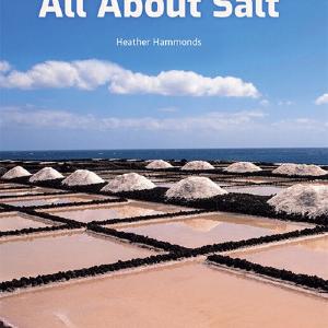 All About Salt Buy Cheap Sast