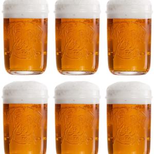 Lagunitas Bierglazen - 300 ml - 6 stuks The Cheapest For Sale