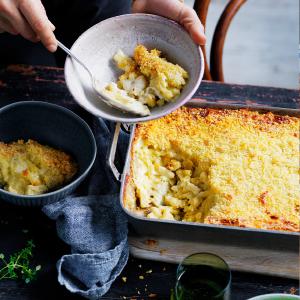 Mac and cheese Clearance Order