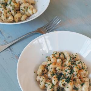 Fresh Cavatappi (12oz) Pre Order