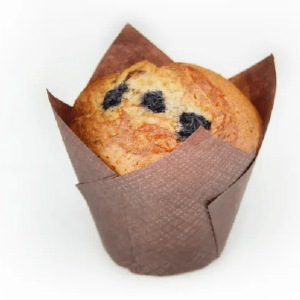 BLUEBERRY MUFFIN Outlet Deals