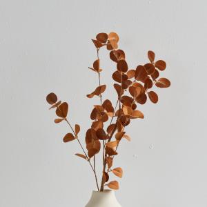 Autumn Branch - Coffee 2025 New For Sale