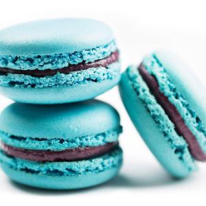 BLUEBERRY MACARONS (12 PACK) Cheap Outlet Store